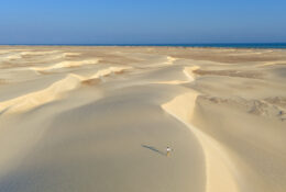 Socotra_2025 (66/76)